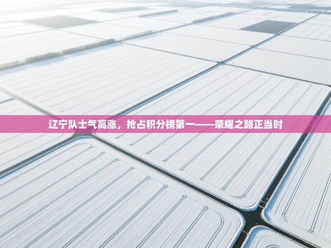 辽宁队士气高涨，抢占积分榜第一——荣耀之路正当时